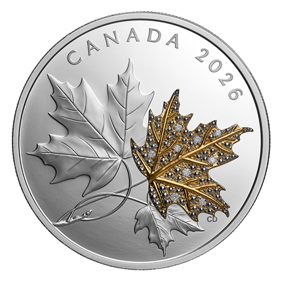 Reverse of Silver Coin