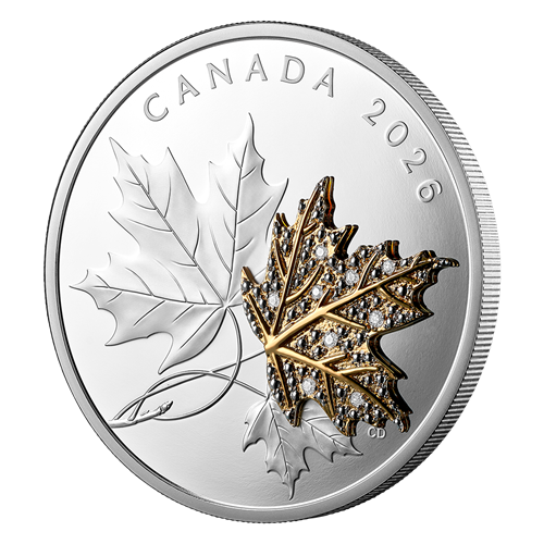 Angled reverse of Silver Coin