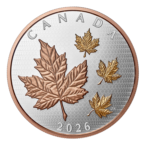 Reverse of Silver Coin