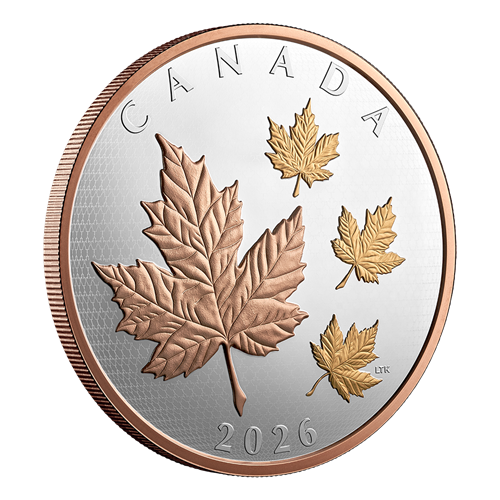 Angled reverse of Silver Coin