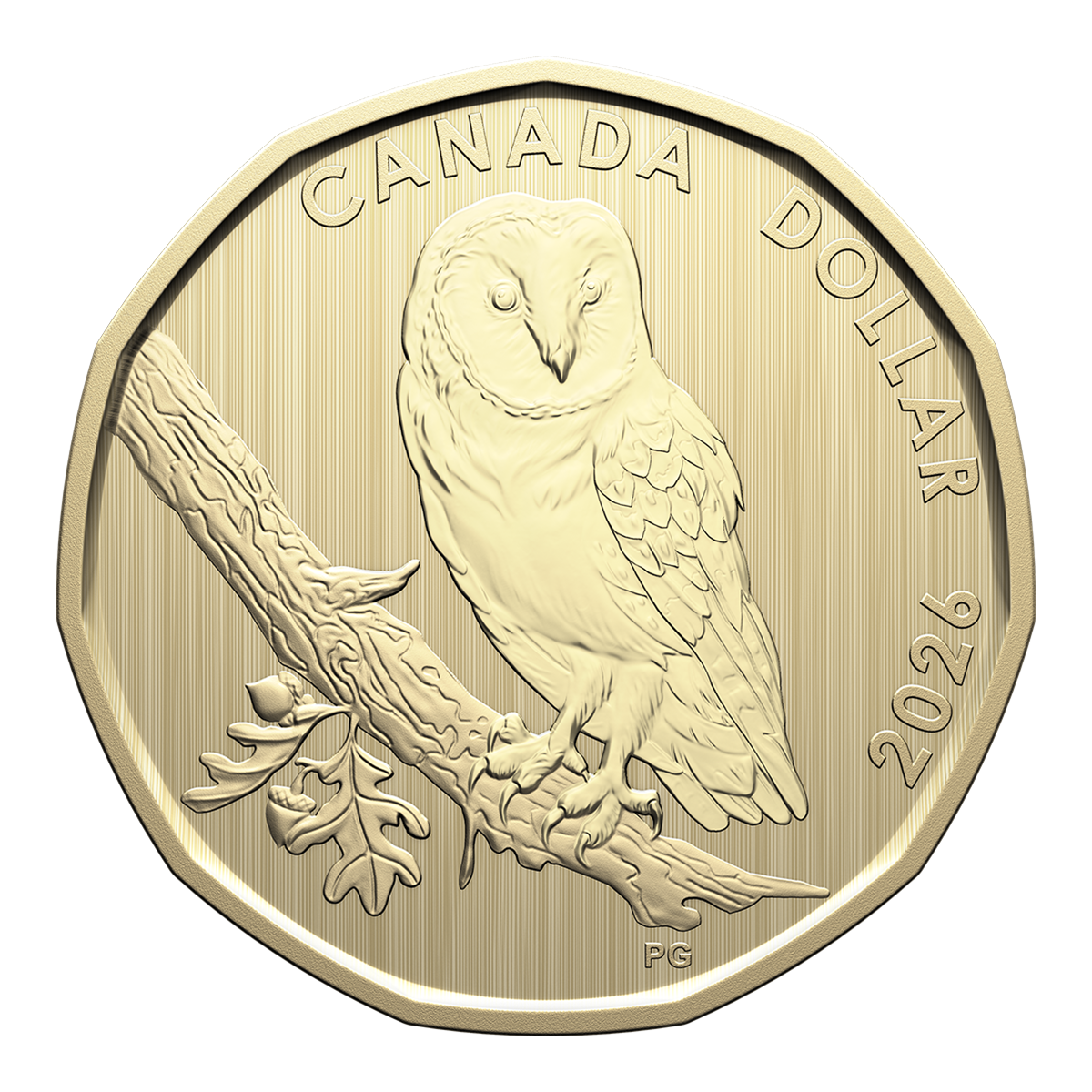 Ensemble spécimen – Histoires de conservation : Effraie des clochers (2026)