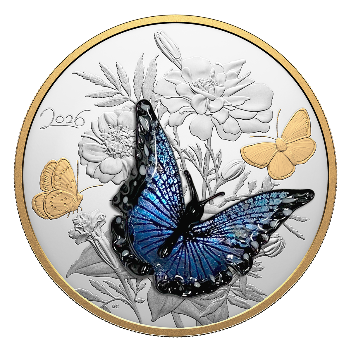 Murano Silvery Blue Butterfly – Half Kilo Fine Silver Coin