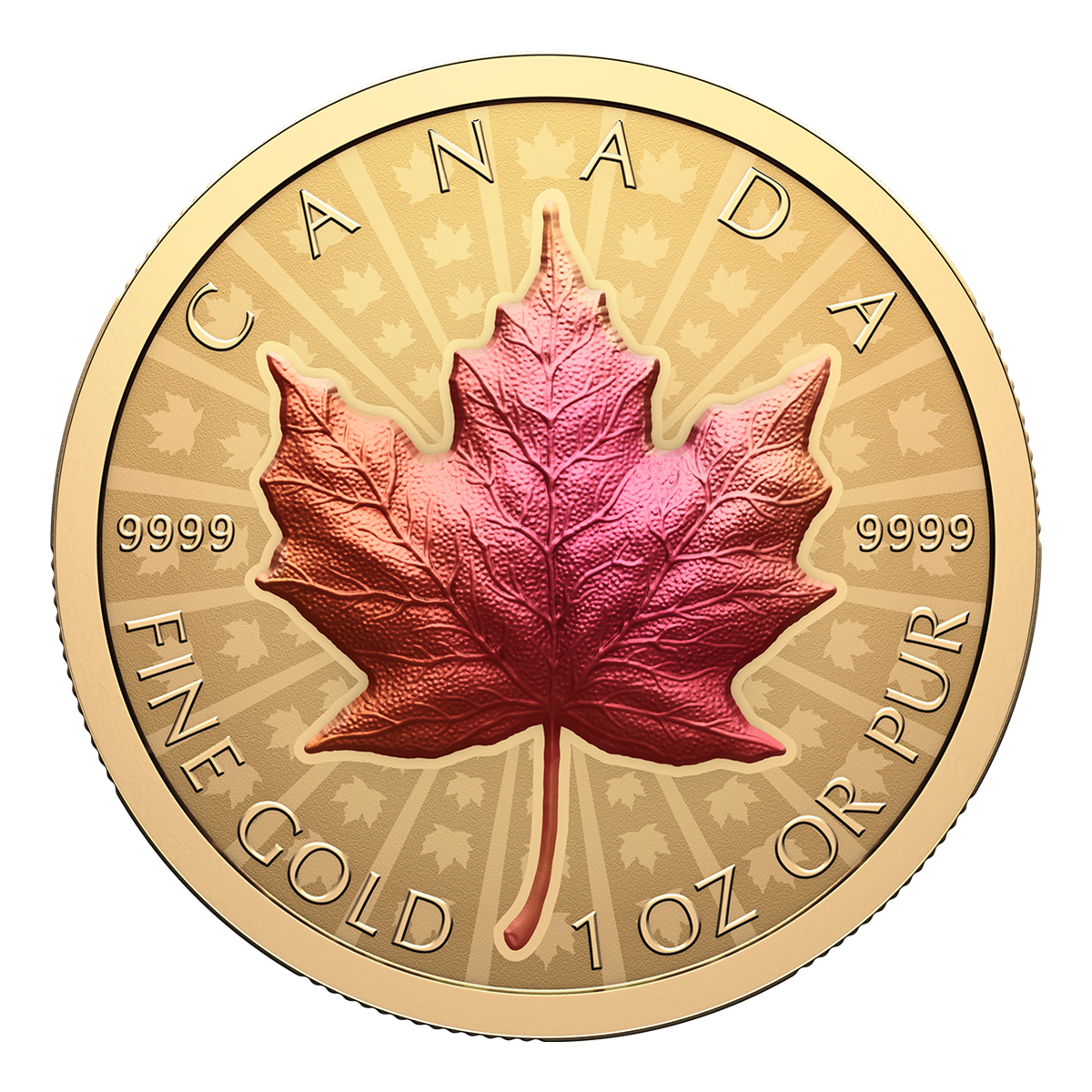 Gold Maple Leaf – 1 oz. Pure Gold Ultra High Relief Coin