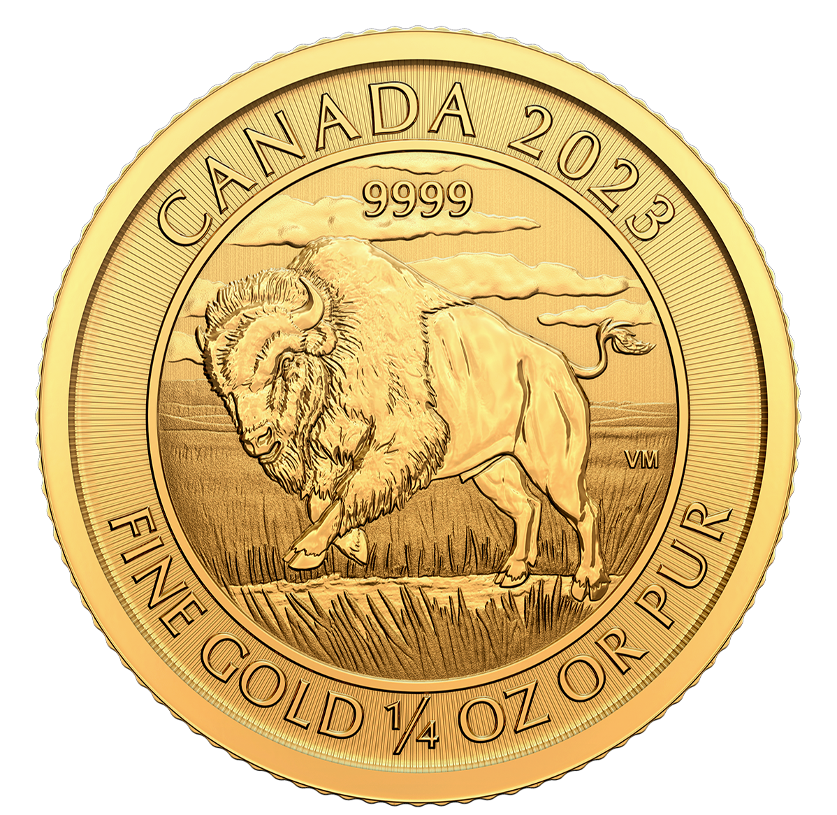 2023 Bison - Pièce de 1/4 oz en or pur à 99,99 %  (pièce d'investissement)