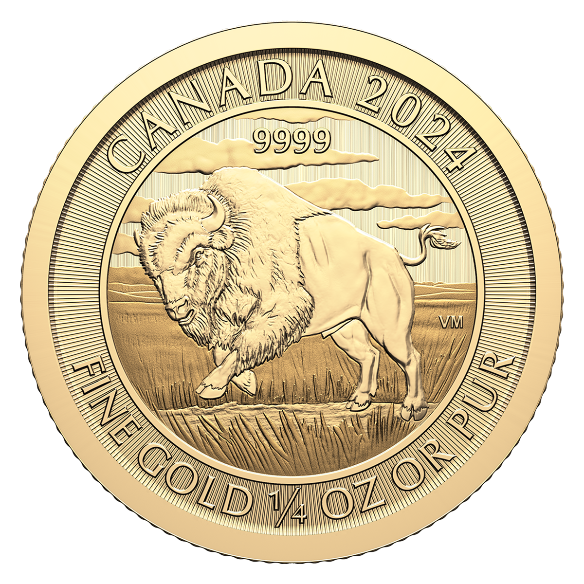 Pièce de 1/4 oz en or pur à 99,99 % 2024 – Bison (pièce d'investissement)