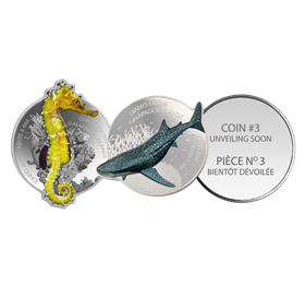 2020_179788_silver_giants_of_galapagos_islands_giant_seahorse_certificate-en.pdf